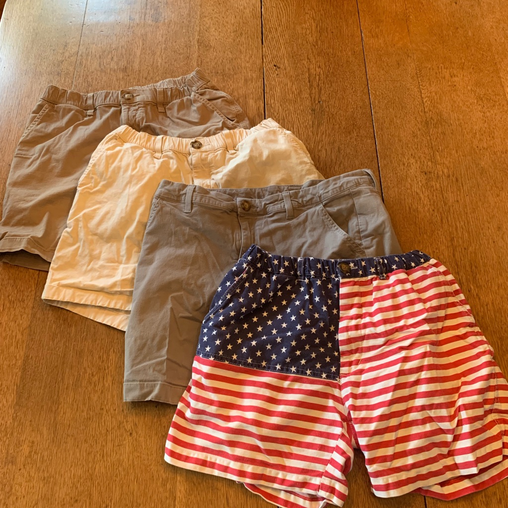 Chubbies Shorts Bundle